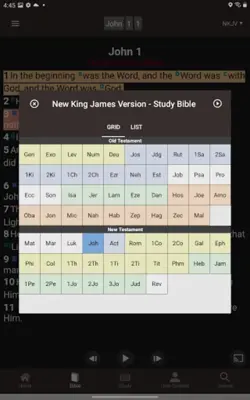 Bible - Word of Promise® android App screenshot 8